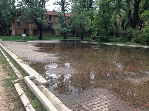 Seeding Sensible Solutions in a World of Extremes: A Permaculture Perspective on 100-Year Floods and Beyond